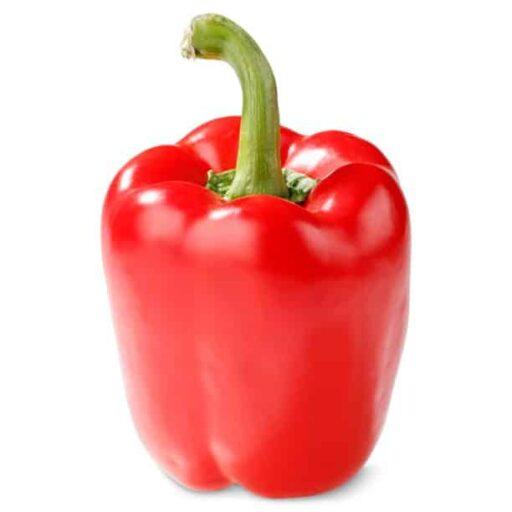 Fresh red bell  pepper,  Kg