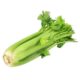 Celery,  bunch